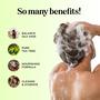 Imagem de Conjunto de shampoo e condicionador Maple Holistics Tea Tree Oil