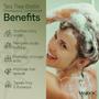 Imagem de Conjunto de shampoo e condicionador VANIDOX Tea Tree com biotina 480 mL