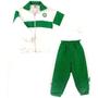 Imagem de Conjunto esportivo infantil palmeiras