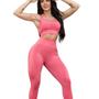 Imagem de Conjunto Feminino Fitness sem Costura Empina Bumbum