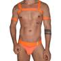 Imagem de Conjunto harness arreio + Cueca Jockstrap