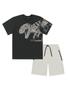 Imagem de Conjunto Infantil Menino Play Camiseta e Bermuda Dino Cinza Catavento