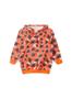 Imagem de Conjunto Inverno Menino Laranja Blusão Com Capuz e Calça em Moletom Molekada