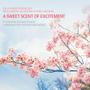 Imagem de Conjunto Kerasys Cherry Blossom - Shampoo e Condicionador Perfumado (1L)