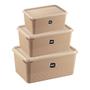 Imagem de Conjunto Kit Com 3 Potes Porta Mantimentos Retangular Multiuso 1L 2L 3L UZ