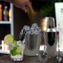 Imagem de Conjunto Kit Inox Caipirinha 5 Peças Utensílios Bar Barman Bartender Profissional