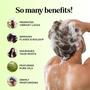 Imagem de Conjunto Maple Holistics Tea Tree - Shampoo e Condicionador