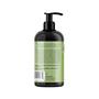 Imagem de Conjunto Mielle Rosemary Mint - Shampoo e Condicionador