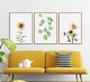 Imagem de Conjunto Quadro Decorativo Flores Cerejeira"