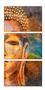 Imagem de conjunto quadros Buda Budismo Cores Efeito De Cores Buda N4"