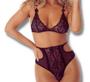 Imagem de Conjunto Rendado Hotpant Tule Lingerie Sensual Luxo Renda