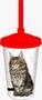 Imagem de Copo com Tampa e Canudo Gato Raças Pet 750 ml Maine Coon - Pet Toys