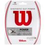 Imagem de Corda Wilson Synthetic Gut Power 17L 1.25mm Branca