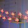 Imagem de Cordão Luminária Fio Luz Led 10 Lâmpadas Flamingo Decoração