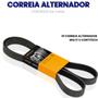 Imagem de Correia Alternador Peugeot 206 SW 1.4 1.6 16v 2005 a 2008