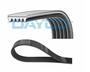 Imagem de Correia Poly-V Dayco 6Pk 1090 Fiat Ducato Vw Polo