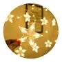 Imagem de Cortina 224 Leds Warm Com Estrela Na Ponta