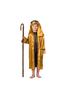 Imagem de Costume Dress Up America Saint para meninos - marrom e dourado