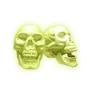 Imagem de Cranio com Mandibula Neon