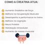 Imagem de Creatina 100% Pure Monohidratada Creatine Atlhetica 100g 33 Doses