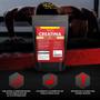 Imagem de Creatina 1Kg L-Glutamina 1Kg L-Arginina 250g Beta-Alanina 500g - 100% Pura Importada - Red Fit Nutrition