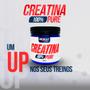 Imagem de Creatina Micronizada 100% Pure - 300g - Absolut Nutrition