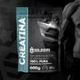Imagem de Creatina Monohidratada 600g - 100% Pura Importada - Soldiers Nutrition
