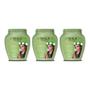 Imagem de Creme Skala 1Kg Jaborandi-Kit C/3Un