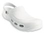 Imagem de Crocs Specialist Vent Clog
