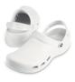 Imagem de Crocs Specialist Vent Clog