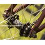 Imagem de Cubo Mtb Mob 32F Single Speed Cog12 Preto Dirt-FR-Wheeling