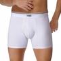 Imagem de Cueca Boxer Bressan Microfibra Com Elástico Aparente Kit 10