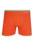 Imagem de Cueca Boxer Lupo 766-014