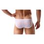 Imagem de Cueca Cintura Fina Transparente Tule Vazado Branco Respirável Cuecas SexLord Underwear