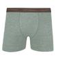 Imagem de Cueca Lupo Boxer Infantil Algodão Cotton Kit Com 10 141