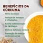 Imagem de Cúrcuma Com Colágeno Tipo 2 Melfort 30ml B