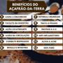 Imagem de Cúrcuma E Colágeno Tipo 2 Melfort Com 30 Ml Kit 3 Unidades