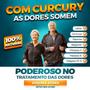 Imagem de Curcury Premium Original - 10 Potes - Solução Para Dores