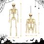 Imagem de Decoração de Halloween Skeleton, pacote com 5, 40 cm, posável para corpo inteiro