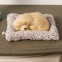 Imagem de Decoração de pelúcia para cães KKUSSOLL Animal realista com cobertor