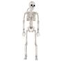Imagem de Decoração Halloween Esqueleto Articulado 40cm