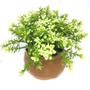 Imagem de decoração plantas artificiais decorativas vaso vasinho falsa flor