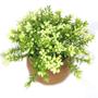 Imagem de decoração plantas artificiais decorativas vaso vasinho falsa flor
