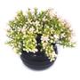 Imagem de decoração plantas artificiais decorativas vaso vasinho falsa flor