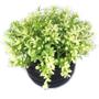 Imagem de decoração plantas artificiais decorativas vaso vasinho falsa flor