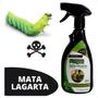 Imagem de Defensor Forth Mata Lagarta 500ml Pronto Para Uso