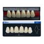 Imagem de Dente Dent Clean Anterior A25 Superior - Imodonto