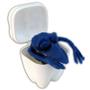 Imagem de Dente Dentão Baú Com Bactéria - 4 Unidades - D-Express
