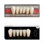 Imagem de Dente Platinum Tri 03 Camadas Anterior IK9 Inferior - Imodonto