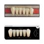 Imagem de Dente Platinum Tri 03 Camadas Anterior IK9 Inferior - Imodonto